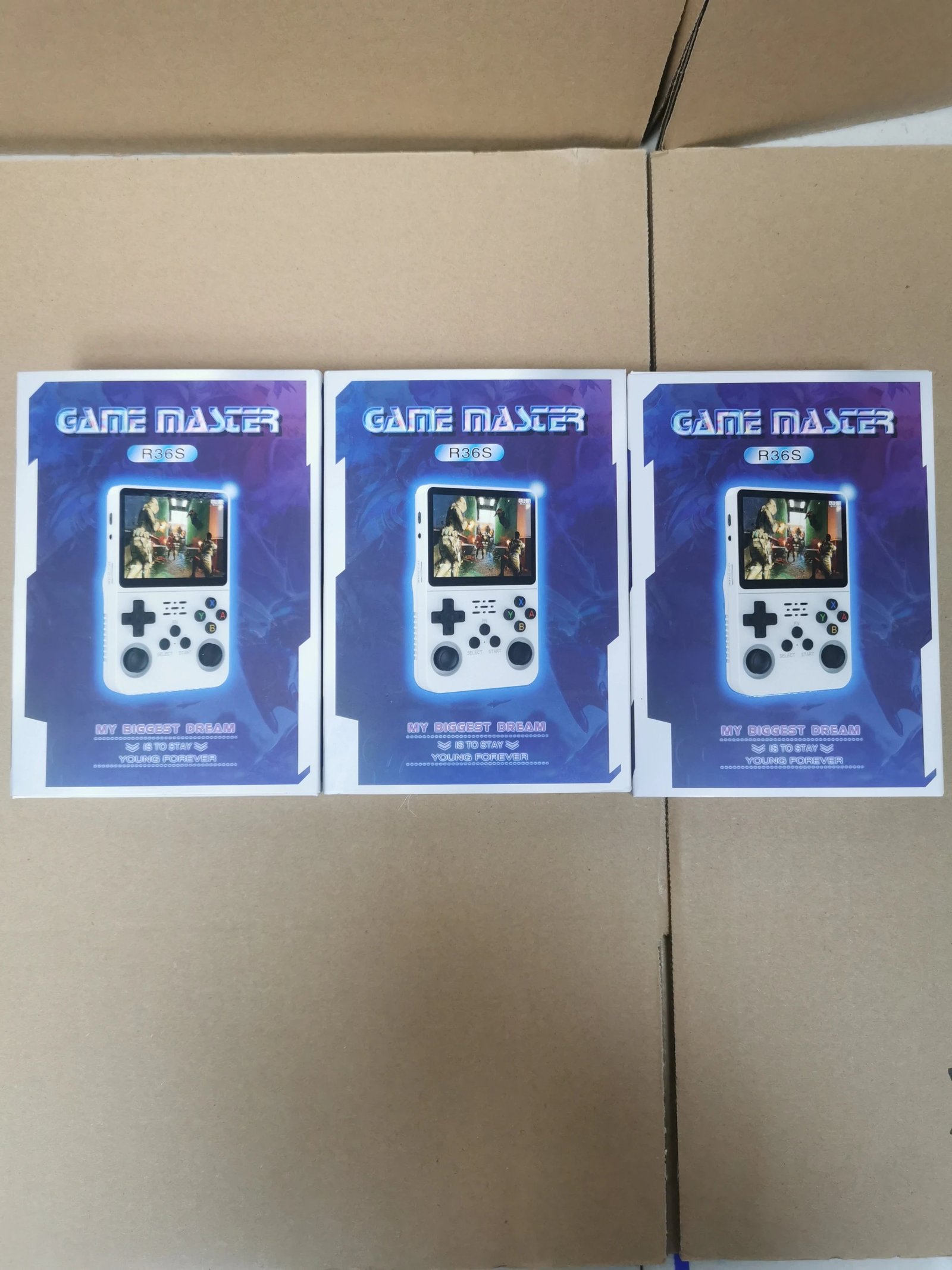 【DX76】GamemachineR36Swith20000